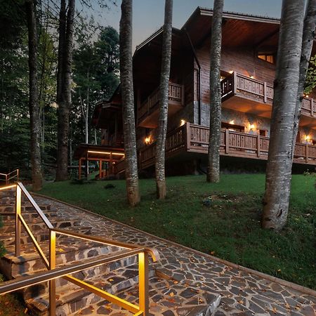 Chalet Royal シナヤ エクステリア 写真